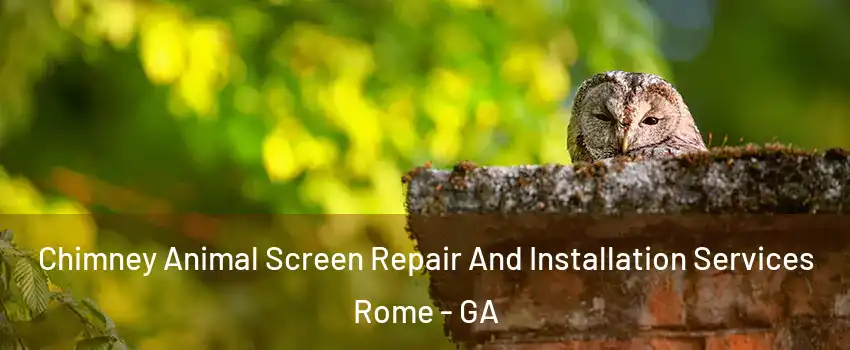  Chimney Animal Screen Repair And Installation Services Rome - GA