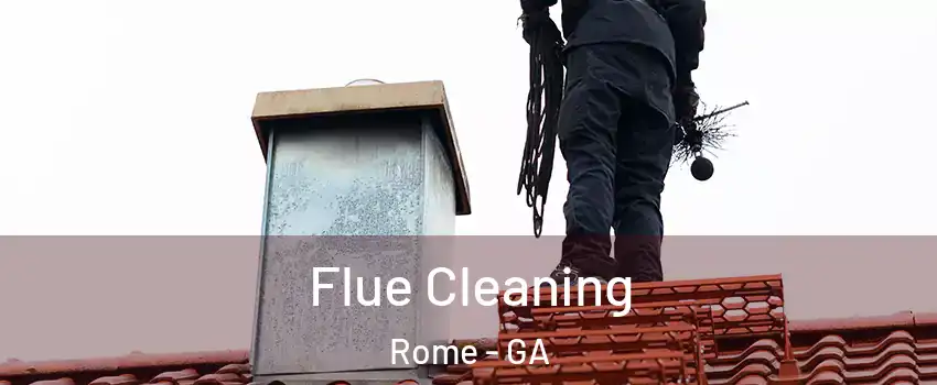  Flue Cleaning Rome - GA