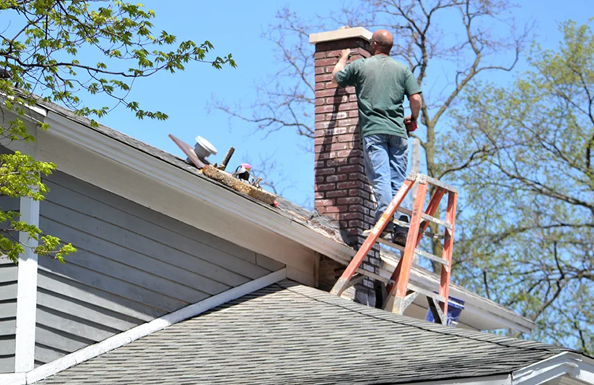 Chimney & Fireplace Inspections Services in Rome, GA