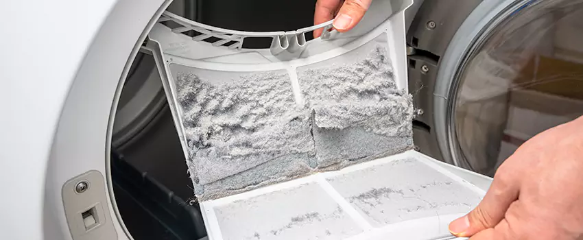 Best Dryer Lint Removal Company in Rome, Georgia