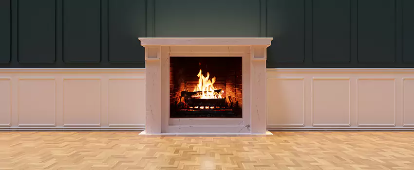 Napoleon Electric Fireplaces Inspection Service in Rome, Georgia