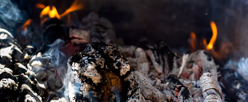 Creosote Removal Experts in Rome, GA